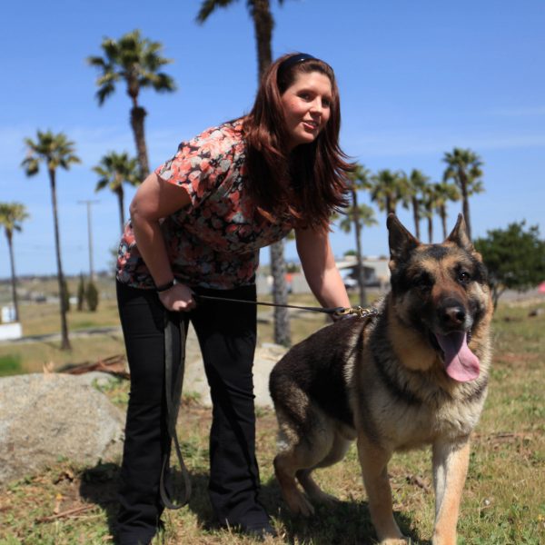 NY Yankees honor former Marine Cpl. and Purple Heart recipient Megan Leavey  and bomb-sniffing dog – New York Daily News